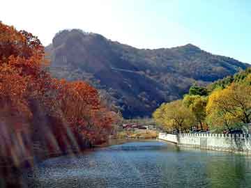 新澳门二四六天天开奖，田海蓉 陆毅